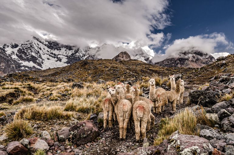Machu Picchu desde Chile