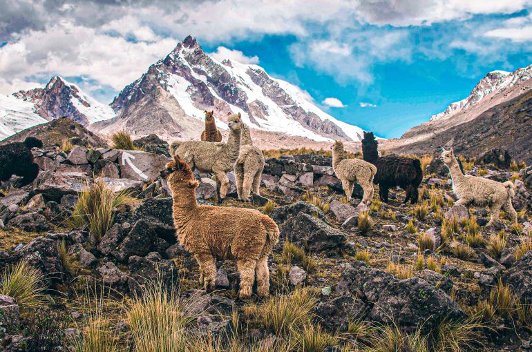 Machu Picchu desde Chile