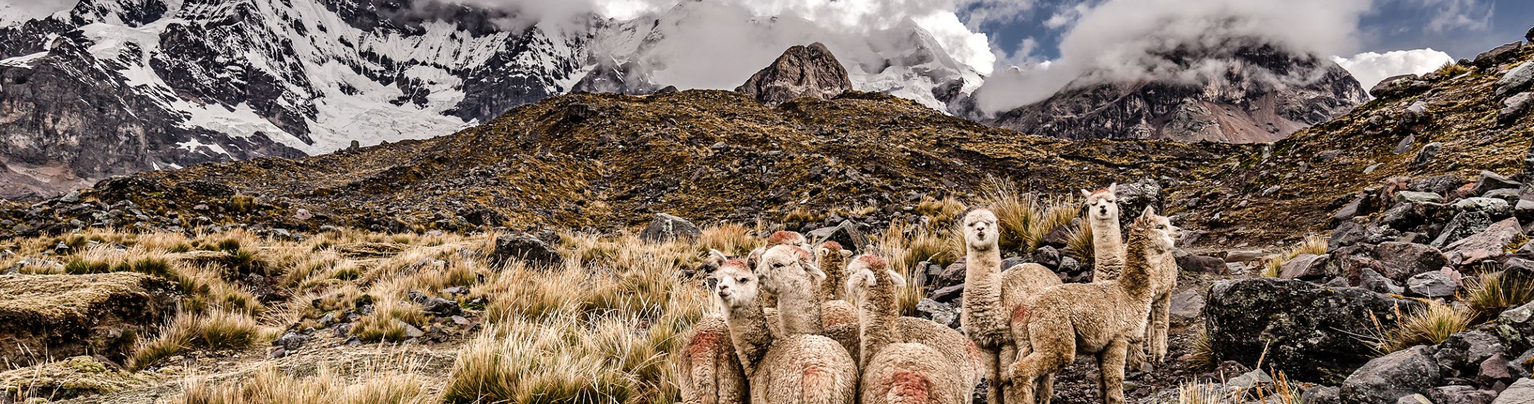 Machu Picchu 8D7N Viajero (Full Aventura Tendencia)  desde Chile