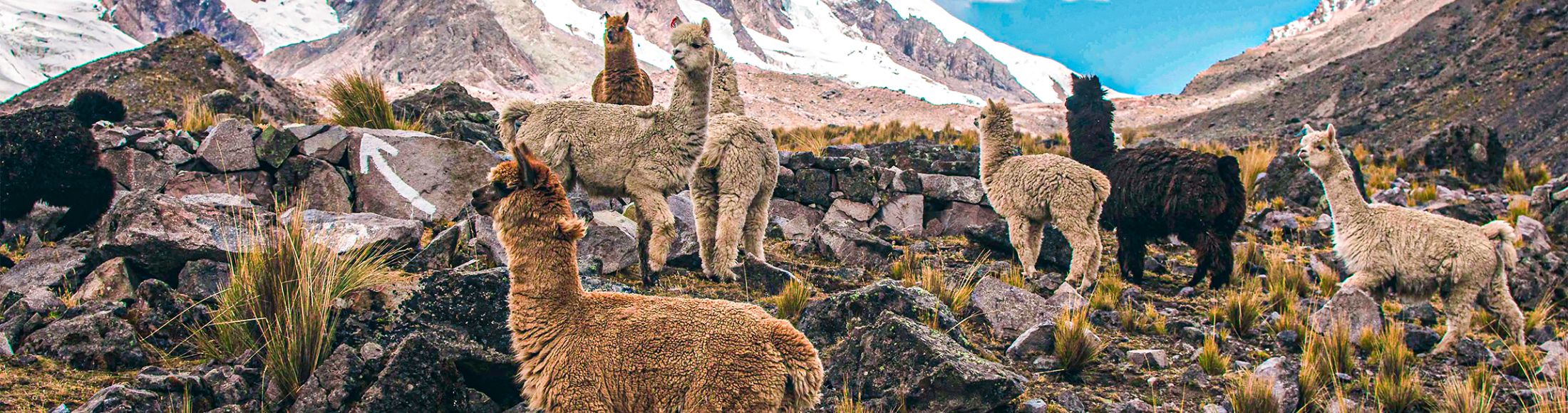 Machu Picchu 4D3N Viajero (Cultural Aventura Tendencia)  desde Chile