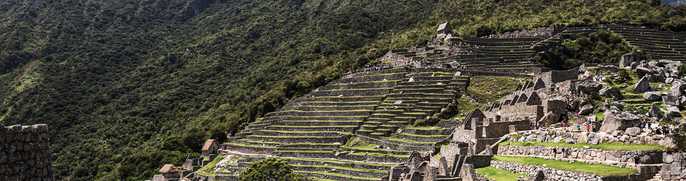 Machu Picchu 8D7N Viajero (Aventura Clásica)  desde Chile