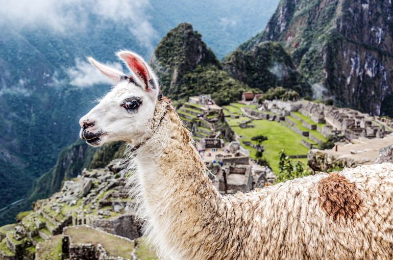 Machu Picchu desde Chile