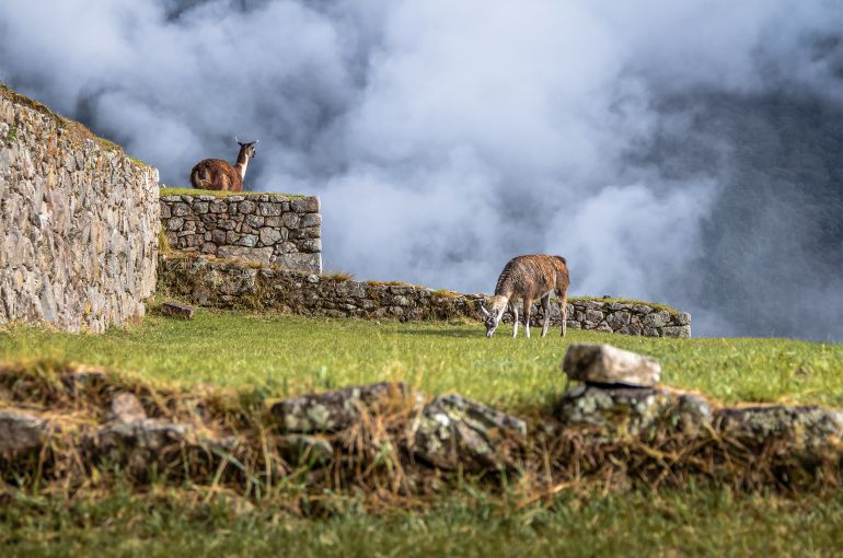 Machu Picchu desde Chile